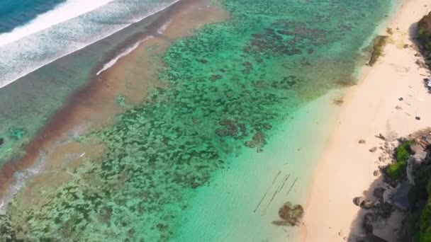 Vista Aerea Con Spiaggia Tropicale Con Acqua Turchese Oceano — Video Stock