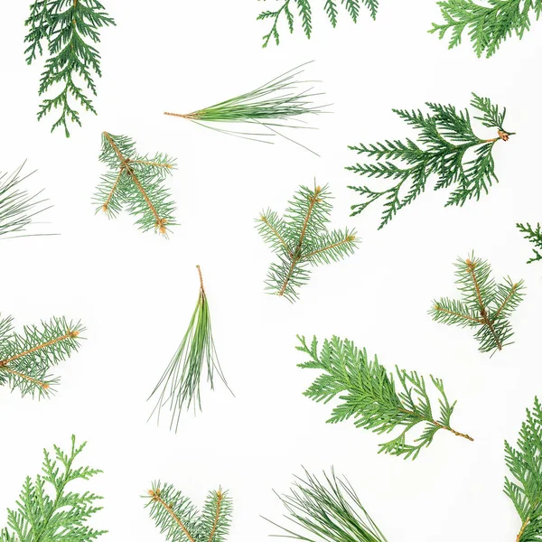 Tatil Desen Kış Ağaçlar Üzerinde Beyaz Arka Plan Ile Noel — Stok fotoğraf