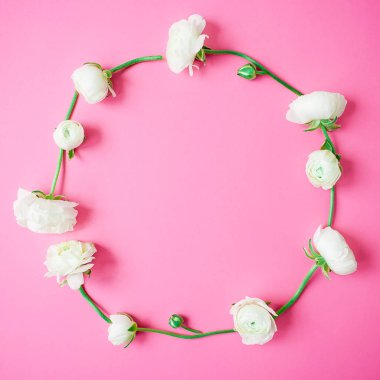 Pembe bir arka plan üzerinde beyaz çiçeklerin yuvarlak çerçeve çiçek. Düz yatıyordu, en iyi görünümü.