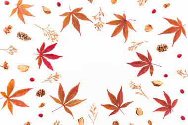 Yuvarlak çerçeve ile sonbahar sonbahar yaprakları ve kır çiçekleri beyaz zemin üzerine kurutulmuş. Düz yatıyordu, en iyi görünüm. Sonbahar kompozisyon