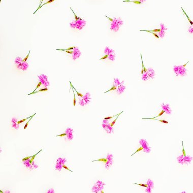 Beyaz arka plan üzerinde pembe çiçekli desen. Düz yatıyordu, en iyi görünüm. Çiçekler kavramı.