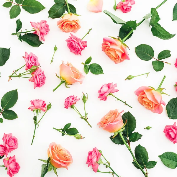 Patrón Floral Rosas Flores Pétalos Hojas Sobre Fondo Blanco Piso —  Fotos de Stock