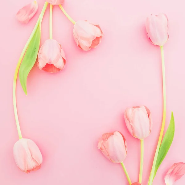 Каркас Композиции Тюльпанов Цветы Розовом Фоне Квартира Лежала Вид Сверху — стоковое фото