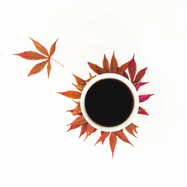 Coffee mug with fall autumn leaves on white background. Flat lay, top view.