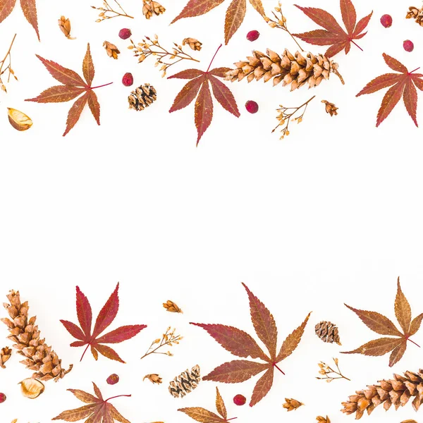 Цветочная Рамка Осенними Осенними Листьями Полевыми Цветами Белом Квартира Лежала — стоковое фото