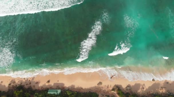 Sandy Beach Ile Okyanus Dalgalar Havadan Görünümü Üstten Görünüm — Stok video