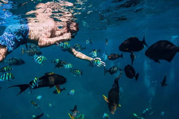 Uomo Apneista Nuotare Nell Oceano Con Pesci Tropicali — Foto Stock