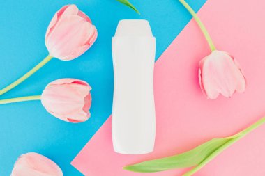 Pembe ve mavi arka plan üzerinde şampuan şişesi ve lale çiçekler. Düz yatıyordu, en iyi görünüm. Spa konsept