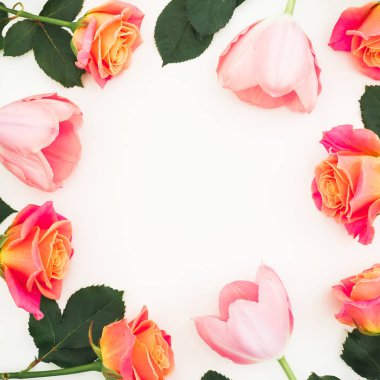 Gül ve Lale çiçek ve yaprakları beyaz arka plan üzerinde çerçeve çiçek. Düz yatıyordu, en iyi görünümü