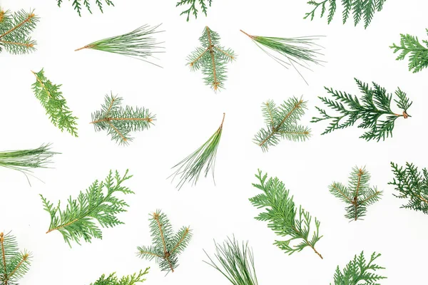 Boże Narodzenie Wzór Zima Drzewo Rozgałęzia Się Białym Tle Tło — Zdjęcie stockowe