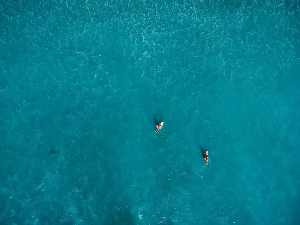 Surfaři Tropických Oceánů Čekání Vlny Letecký Pohled — Stock fotografie