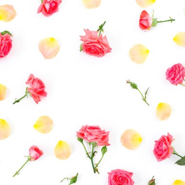 Yuvarlak çerçeve çiçek gül çiçek ve yaprakları beyaz zemin üzerine yaptı. Düz yatıyordu, en iyi görünümü.