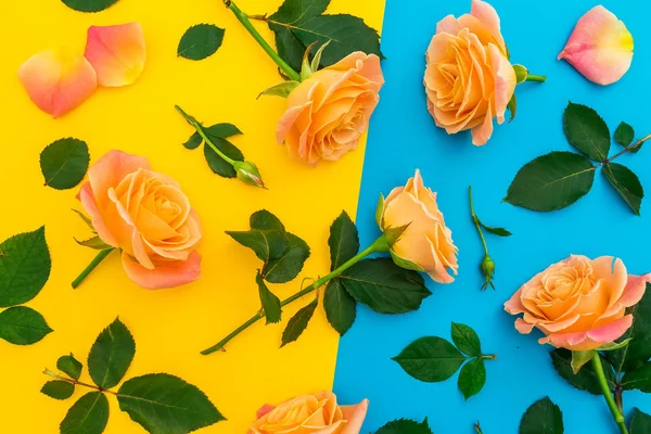 Patrón Floral Rosas Anaranjadas Con Hojas Sobre Fondo Amarillo Azul — Foto de Stock