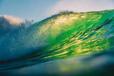 Gün batımında yeşil varil dalga. Hawaii'deki sörf için mükemmel dalga