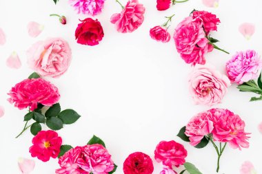 Pembe güller ve anemon çiçeği, şakayık çiçekleri beyaz arka plan üzerinde yuvarlak çerçeve çiçek. Düz yatıyordu, en iyi görünüm. Pastel çiçek doku.