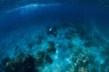 Wetsuit sualtı okyanusta yüzmeye Freediver adam