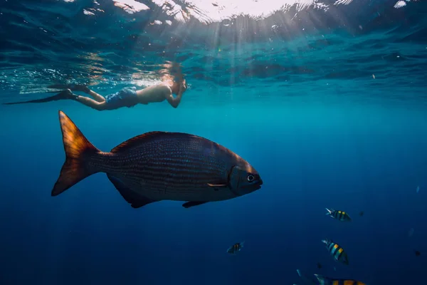 Homem Livre Nadando Oceano Com Grandes Peixes Tropicais — Fotografia de Stock