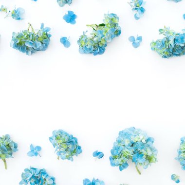 Ortanca çiçek beyaz arka plan üzerinde çerçeve çiçek. Düz yatıyordu, en iyi görünümü.