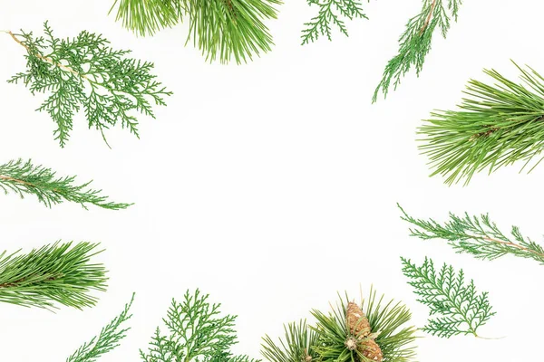 Kerstmis Ronde Frame Van Winter Boom Gemaakt Takken Witte Achtergrond — Stockfoto