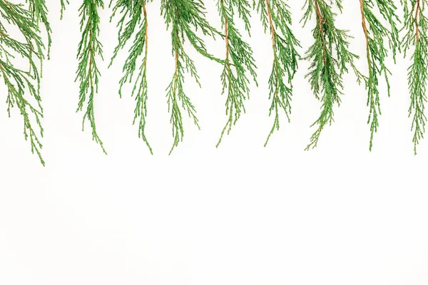 Boże Narodzenie Zimowe Ramki Gałęzi Drzew Białym Tle Widok Góry — Zdjęcie stockowe