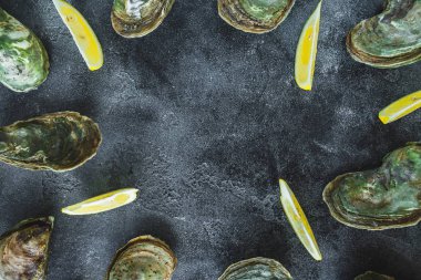 İstiridye ile limes koyu arka plan üzerinde. Deniz gıda kompozisyon. Düz yatıyordu. Üstten görünüm