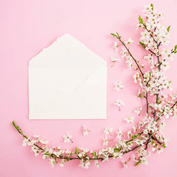 Bahar çiçekleri ve pembe arka plan izole zarf çerçeve çiçek. Düz yatıyordu, en iyi görünüm. Bahar zaman arka plan.