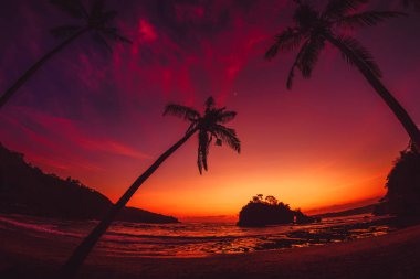 Hindistan cevizi hurma ve tropikal Beach ile okyanus, Nusa Penida parlak günbatımı