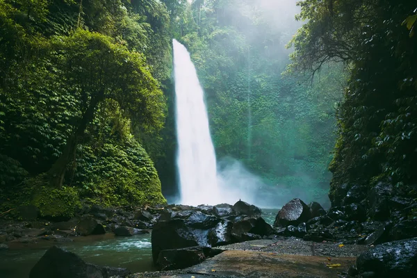 Самый Большой Водопад Мощным Потоком Бали Тропический Лес Водопад — стоковое фото