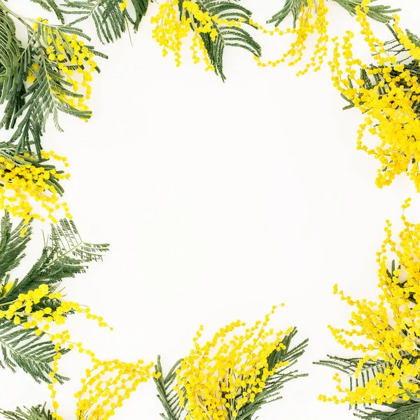 Floral Frame Yellow Mimosa Branches White Background Flowers Woman Day — Stock Photo, Image