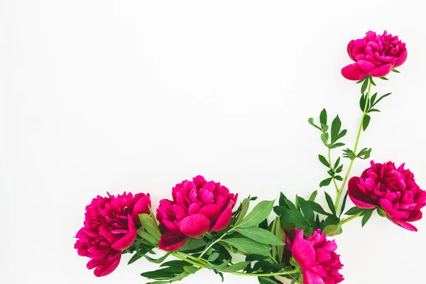 Composición Floral Con Espacio Copia Flores Peonía Roja Hojas Sobre — Foto de Stock
