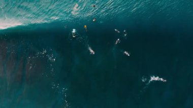 Sörfçü ve mavi namlu dalga okyanusunda hava görünümünü. Üstten görünüm. Sörf ve dalgalar
