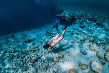 Kadın freediver bikini tropikal okyanusta dalış