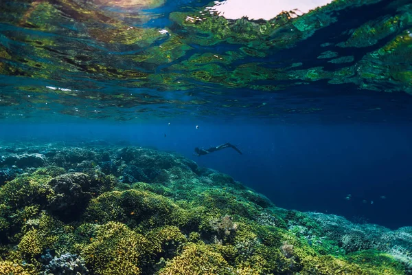 Buceador Libre Nadar Océano Foto Submarina Con Corales — Foto de Stock