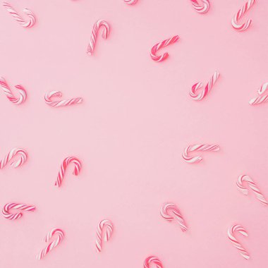 Noel candy pembe arka plan, şöhret ile kopya alanı üzerinde köpekler. Düz yatıyordu kış konsepti.