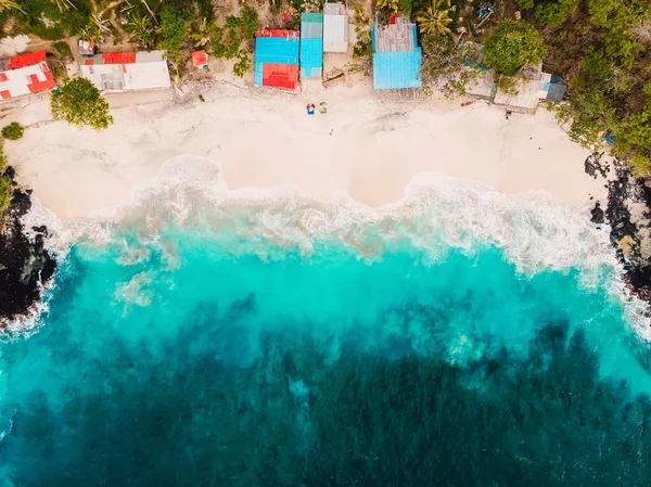 코코넛 야자수와 청록색 바다와 — 스톡 사진