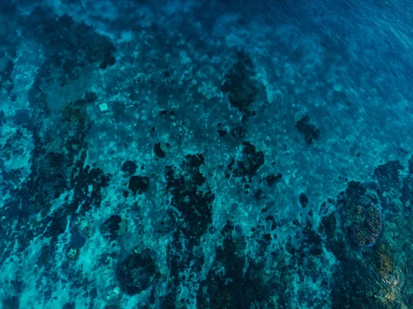 Tyrkysové Moře Korálovým Útesem Letecké Dron Výstřel Pohled Shora Ocean — Stock fotografie