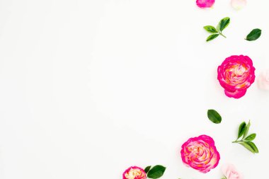 Pastel pembe gül çiçek ve yeşil beyaz zemin üzerine bırakır. Düz yatıyordu, en iyi görünüm. Kopya alanı