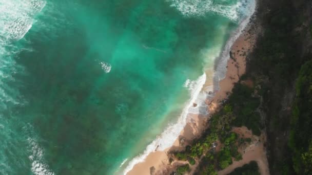 Sandy Beach Turquoise Ocean Waves Aerial View Top View — Stock Video
