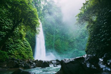 Güçlü akışını ve nehir Bali, Endonezya en büyük şelale