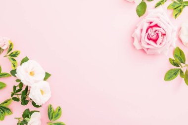 Gül ve pastel pembe bir arka plan üzerinde yaprak çerçeve çiçek kompozisyon. Düz yatıyordu, en iyi görünüm. Sevgililer günü