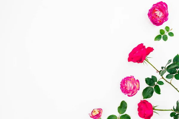 Rosas Rosadas Pastel Flores Hojas Verdes Sobre Fondo Blanco Colocación —  Fotos de Stock