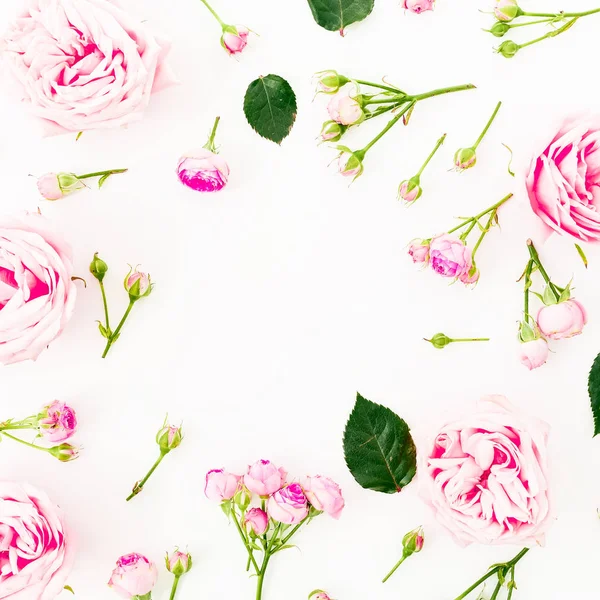 Floral Frame Pattern Roses Flowers Buds White Background Flat Lay — Stock Photo, Image