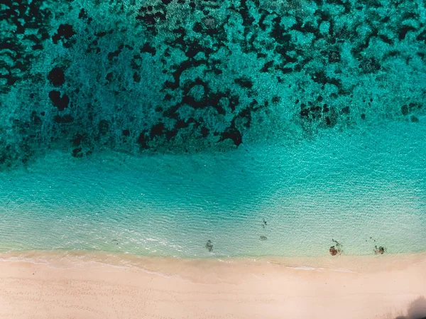 Tropical Beach Sea Sand Drone Top View Background Aerial View — Stock Photo, Image