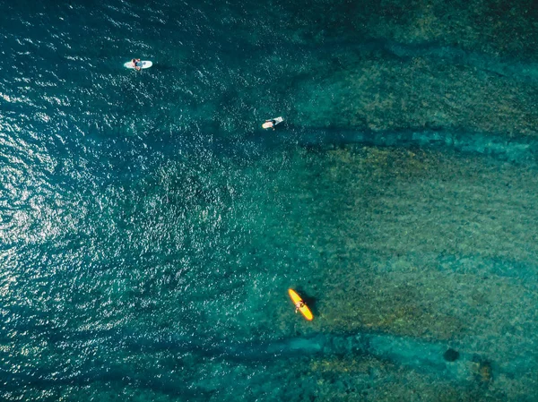 冲浪者和蓝色海水的鸟图 在海洋中冲浪 — 图库照片