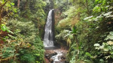Şelale ve orman Bali, Endonezya. tropik şelale havadan görünümü