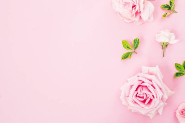 Gül ve pastel pembe bir arka plan üzerinde yaprak çerçeve çiçek kompozisyon. Düz yatıyordu, en iyi görünüm. Sevgililer günü kavramı kopya alanı ile