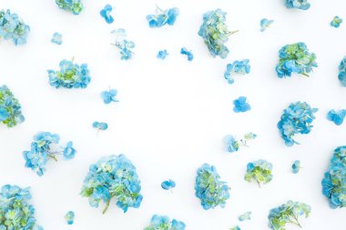 Beyaz zemin üzerine mavi ortanca çiçekli çerçeve çiçek. Düz yatıyordu, en iyi görünümü.