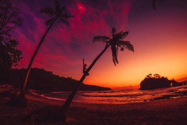 Mutlu traveler adam Hindistan cevizi hurma ve parlak gün batımı veya tropikal güneş doğarken beach ile okyanus
