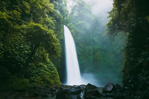 Potężny Wodospad Bali Tropikalne Lasy Wodospad — Zdjęcie stockowe