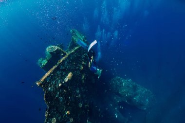 Ücretsiz dalgıç adam Dalış, batık, sualtı